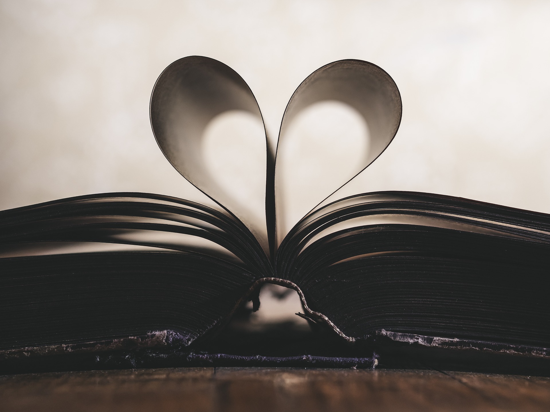 Heart in Pages