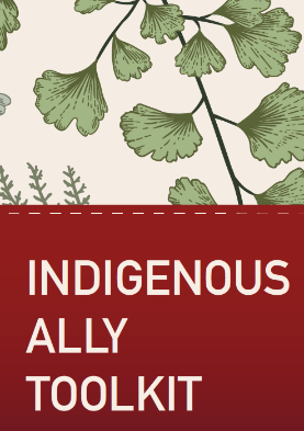 Indigenous Ally Kit