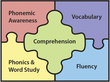 5 components of reading